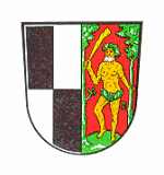 Wappen der Stadt Naila