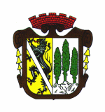 Wappen der Stadt Wallenfels